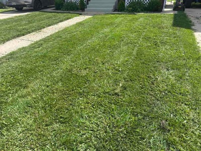 Lawn Care service in Norwood, 45212