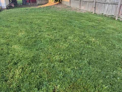 Lawn Care service in Garden Grove, 92843