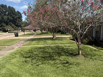 Lawn Care service in Walker, 70785