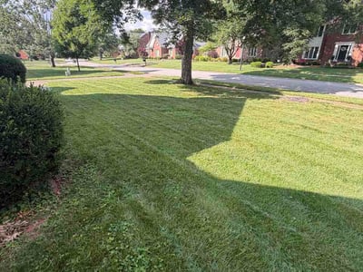 Lawn Care service in Corydon, 42406