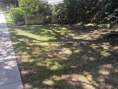 Lawn Care service in Jackson, 70748