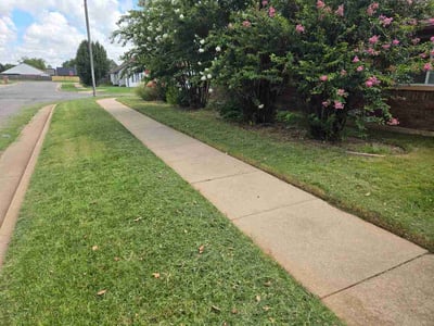 Lawn Care service in Westminster, 92683