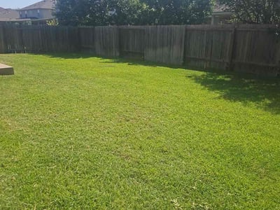 Lawn Care service in Del Valle, 78617