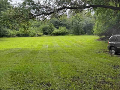 Lawn Care service in Dekalb, 60115