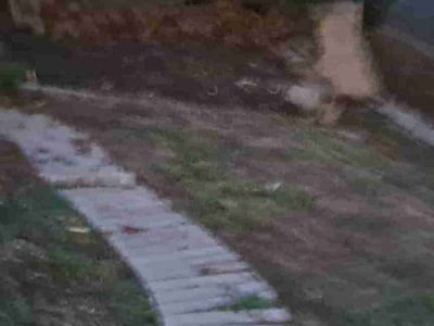 Lawn Care service in Lancaster, 75146
