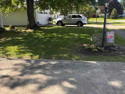 Lawn Care service in Wellington, 44090