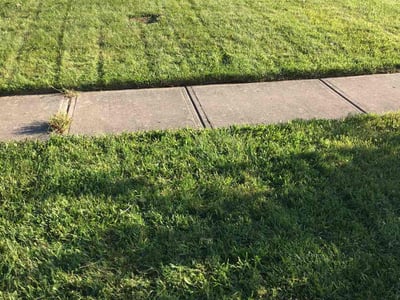 Lawn Care service in Canal Winchester, 43110