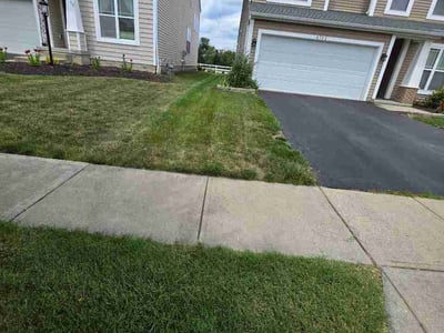 Lawn Care service in Canal Winchester, 43110