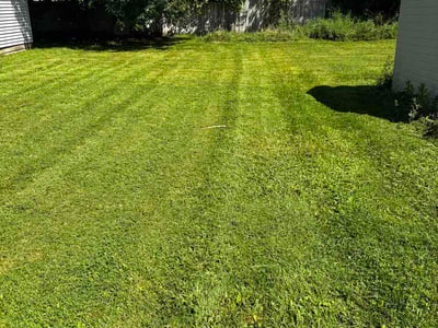 Lawn Care service in Lorain, 44052