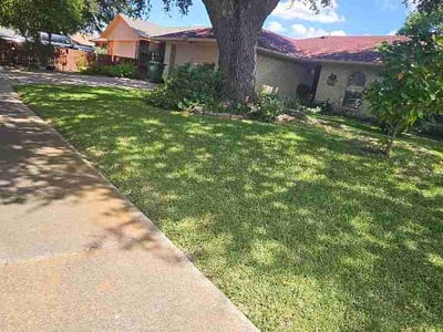 Lawn Care service in Lancaster, 75146