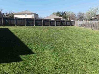 Lawn Care service in Dale, 78616