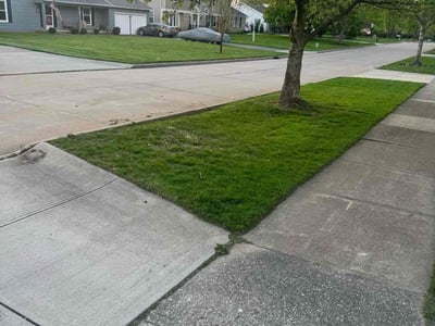 Lawn Care service in North Olmstead, 44070
