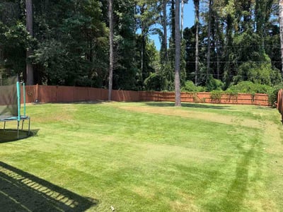 Lawn Care service in Villa Rica, 30180