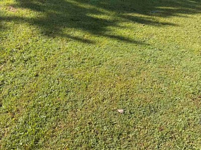 Lawn Care service in Villa Rica, 30180