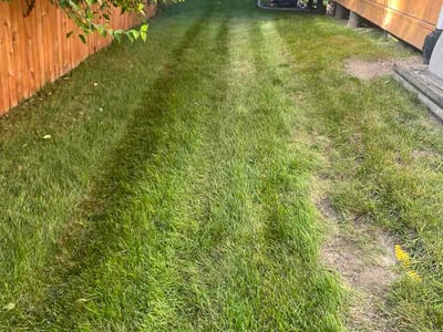 Lawn Care service in Warrenville, 60555