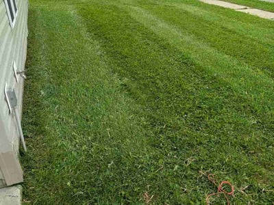 Lawn Care service in Martinsville, 46151