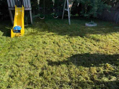 Lawn Care service in Carpentersville, 60110