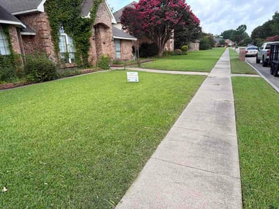 Lawn Care service in Rowlett, 75088