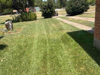 Lawn Care service in Rowlett, 75088