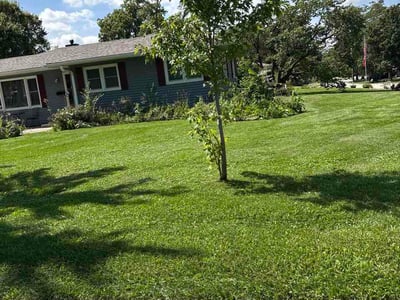 Lawn Care service in Lockport, 60441