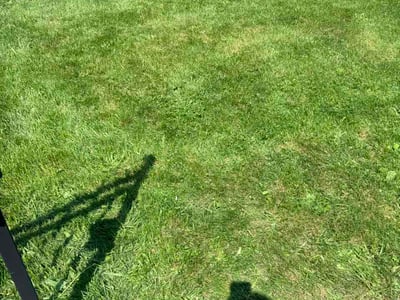 Lawn Care service in Lake In The Hills, 60156