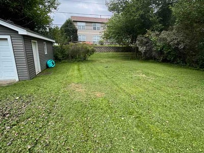 Lawn Care service in Fox Lake, 60020