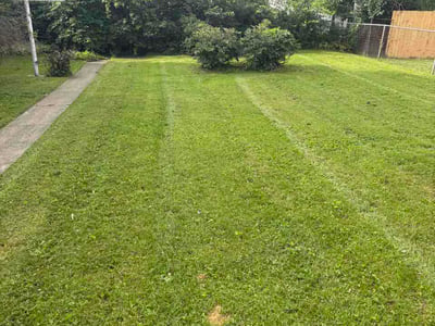 Lawn Care service in Fox Lake, 60020