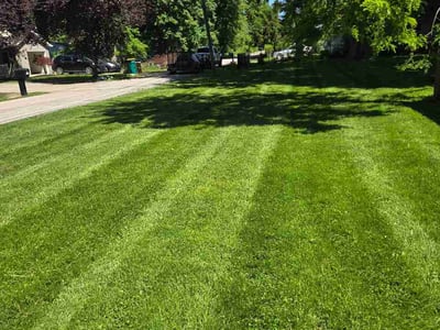 Lawn Care service in Painesville, 44077