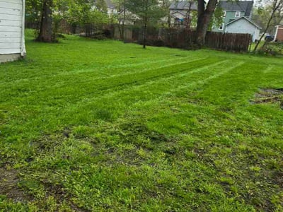 Lawn Care service in Painesville, 44077