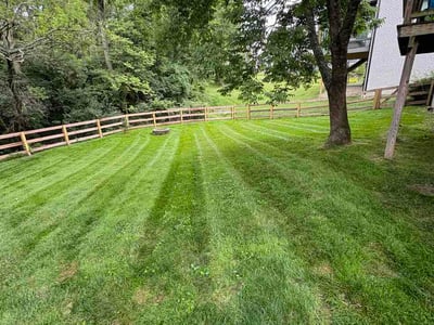 Lawn Care service in Cleves, 45002