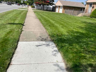 Lawn Care service in Des Plaines, 60016