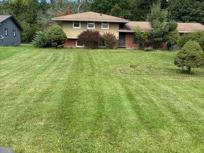 Lawn Care service in Bedford, 44146