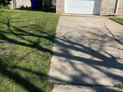 Lawn Care service in Tarzana, 91356