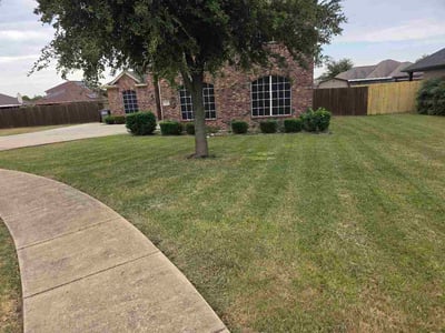 Lawn Care service in Red Oak, 75154