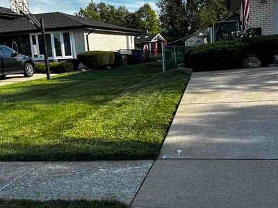 Lawn Care service in Orland Park, 60462