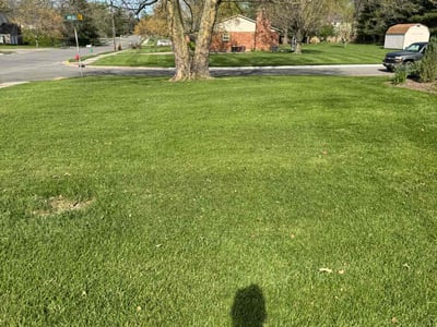 Lawn Care service in Hyde Park, 45208