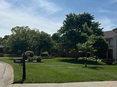 Lawn Care service in Hyde Park, 45208