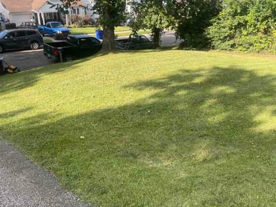 Lawn Care service in Hamilton, 45011
