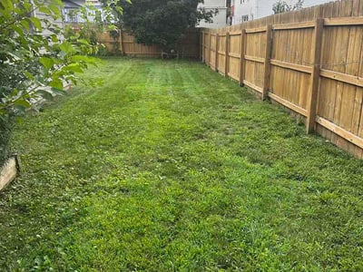 Lawn Care service in Lakewood, 44107