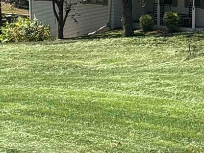 Lawn Care service in Mableton, 30126