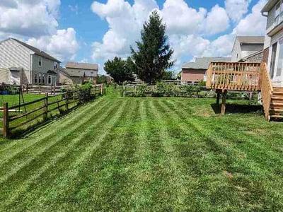 Lawn Care service in Fairfield, 45014