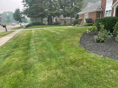 Lawn Care service in Streetsboro, 44241