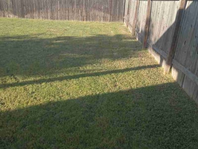 Lawn Care service in Liberty Hill, 78642