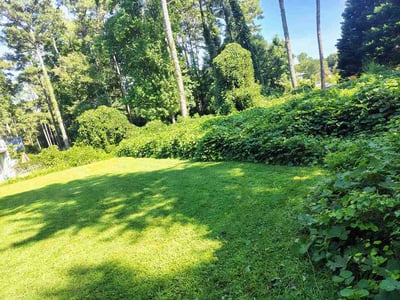 Lawn Care service in Roswell, 30075