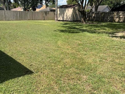 Lawn Care service in California City, 93505