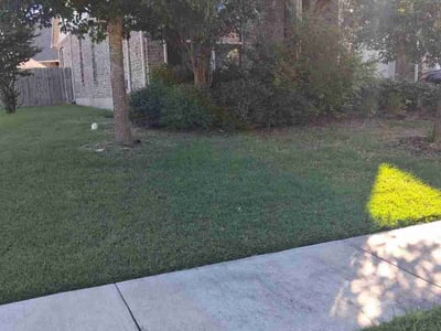 Lawn Care service in Buda, 78610