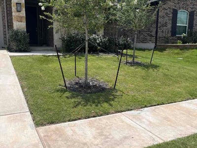 Lawn Care service in Buda, 78610