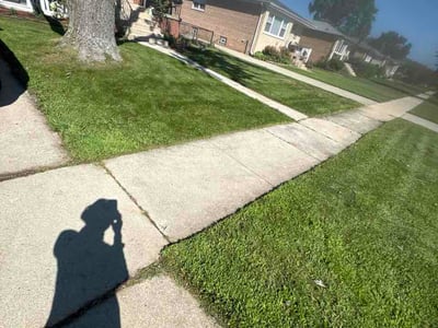 Lawn Care service in Tinley Park, 60477