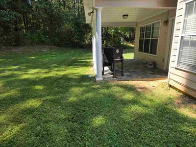 Lawn Care service in Lawrenceville, 30046