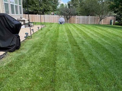 Lawn Care service in Oswego, 60543